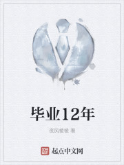 《入仕12年》