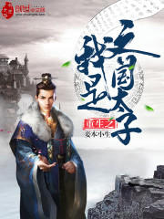 《重生之我是齐国太子》