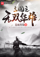 《三国之无双华雄》