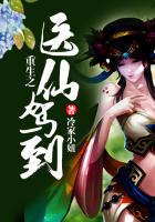 《重生之医仙驾到》