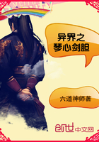 《异界之琴心剑胆》