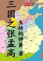 《三国之张孟高》