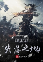 《领主之失落之地》