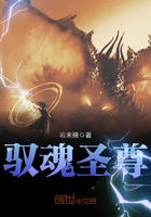 《驭魂圣尊》