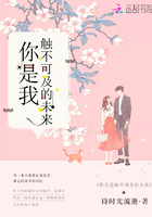《你是我触不可及的未来》