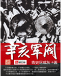 《辛亥军阀》