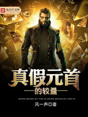 《真假元首的较量》