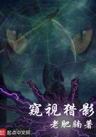 《窥视猎影》