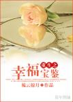 《重生之幸福宝鉴》