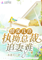 《情深几许执拗总裁追妻难》