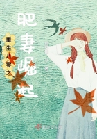 《重生八零之肥妻崛起》
