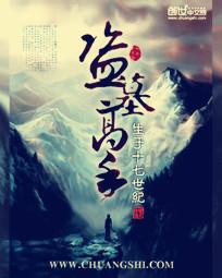 《盗墓高手》