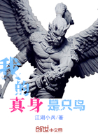 《我的真身是只鸟》