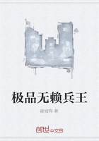 《极品无赖兵王》