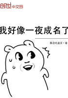 《我好像一夜成名了》