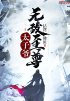 《无敌至尊太子爷》