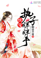 《快穿执子胖胖手》