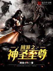 《网游之神圣至尊》