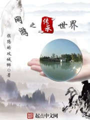 《网游之传承世界》