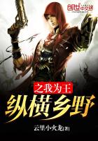 《纵横乡野之我为王》