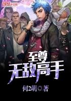 《至尊无敌高手》