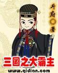 《三国之大霸主》