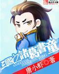 《三国之诸葛书童》
