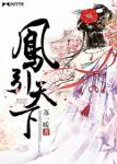 《凤引天下》