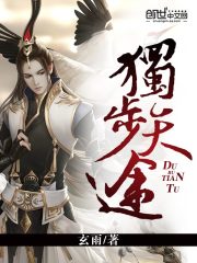 《独步天途》