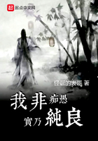 《我非痴愚实乃纯良》