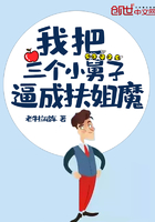 《我把三个小舅子逼成扶姐魔》