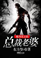 《贴身兵王的总裁老婆》