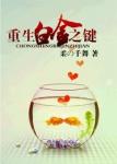 《重生白金之键》