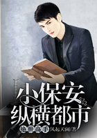 《小保安纵横都市：绝世高手》