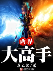 《两界大高手》