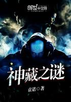 《神藏之谜》
