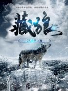 《藏狼》