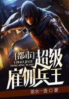 《都市超级雇佣兵王》