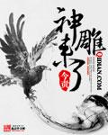 《神雕来了》