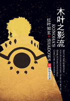 《木叶之影流》