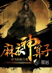 《麻衣神算子》