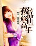 极品修仙高手