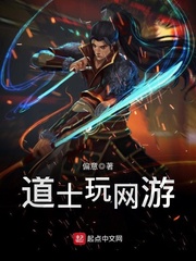 《道士玩网游》