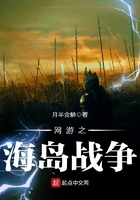 《网游之海岛战争》