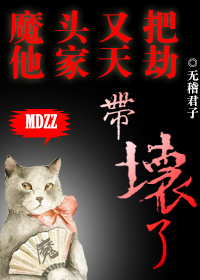 《魔头又把他家天劫带坏了》
