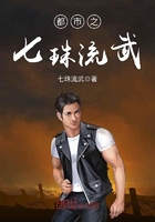 《都市之七珠流武》