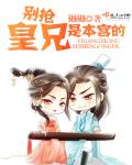《别抢：皇兄是本宫的》