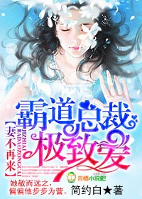 《妻不再来，霸道总裁极致爱》