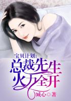 《宝贝计划，总裁先生火力全开》