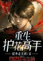 《重生护花高手》